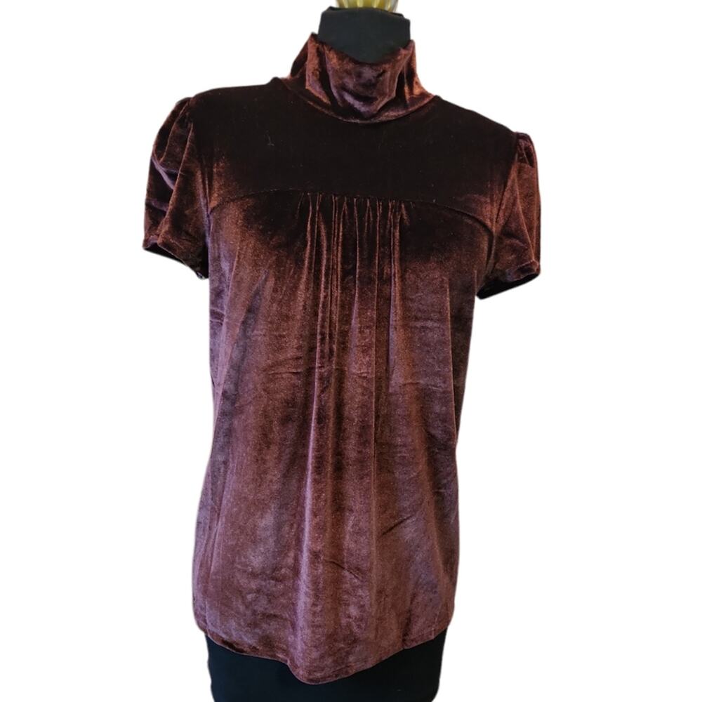 Dress/Tunic, Mock-Turtleneck, Brown-Burgundy Velvet, Child Medium/Adult X-small.